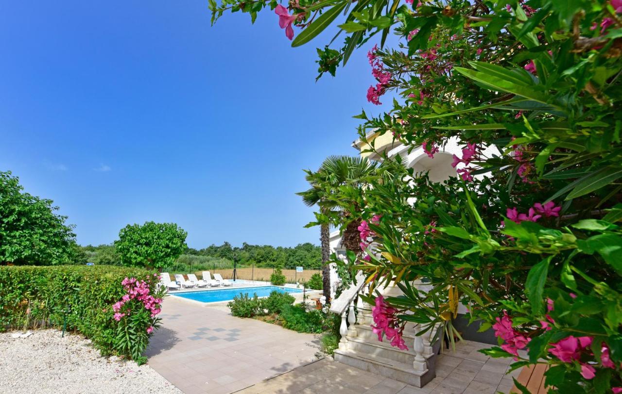 Apartments Ella Porec Bagian luar foto